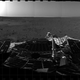 Illustration for article titled It's Been a Full Decade Since We Landed the Spirit Rover on Mars